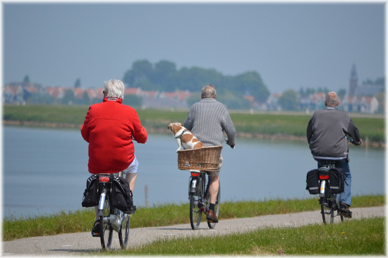 Three Man Riding Bicycles Near Body of Water