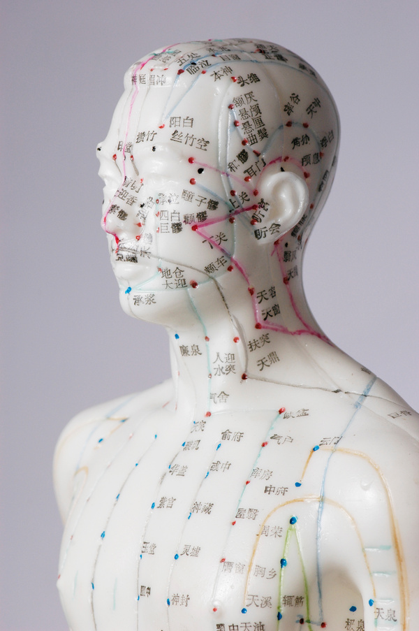 Acupuncture dummy