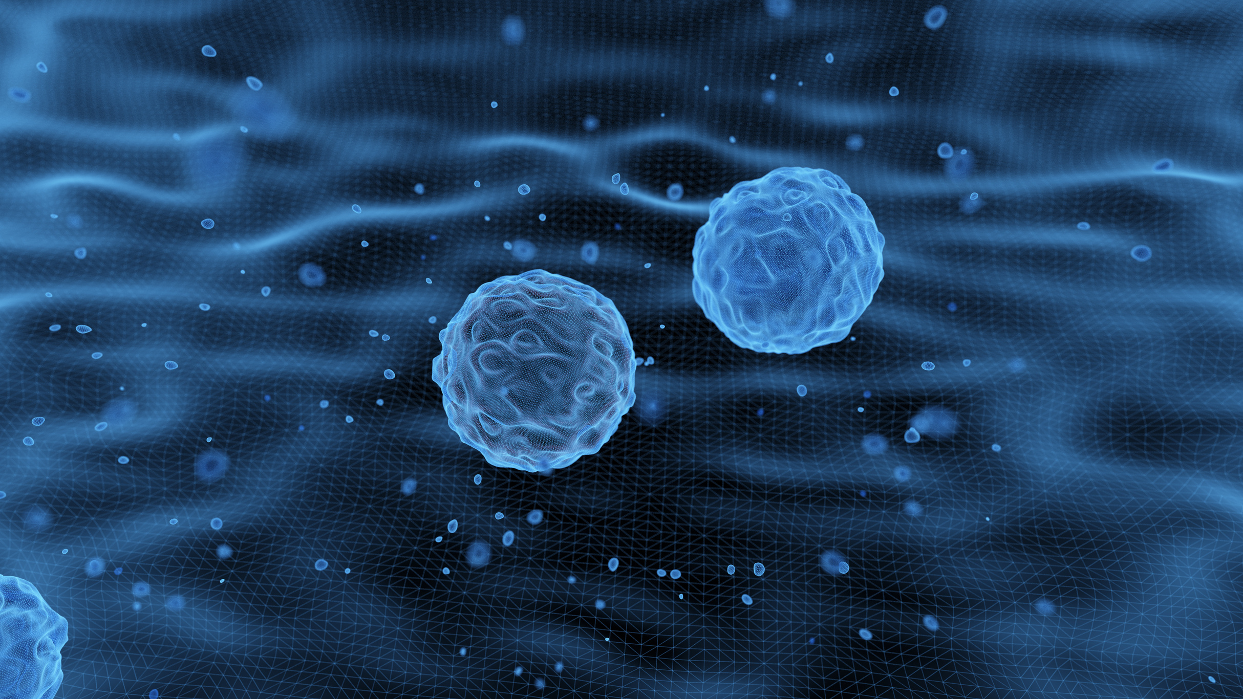 Embryonic stem cells